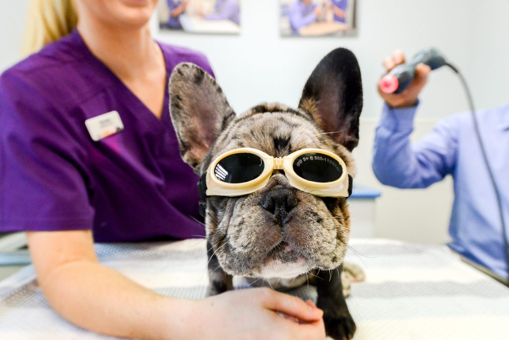 Laser therapy